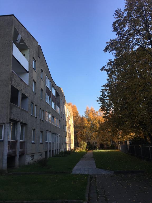 Just Good Apartment Клайпеда Екстер'єр фото